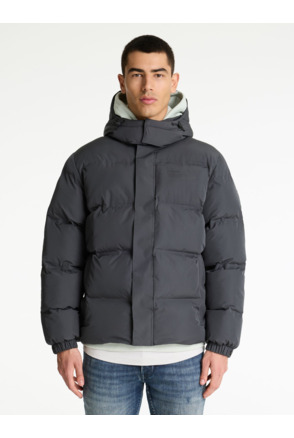 Chasin Heren Jas Nebula