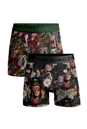 Jongens 2-Pack Boxershorts Blindtango Print/Print