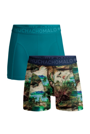 Heren 2-Pack Boxershort Print/Effen Print/Green