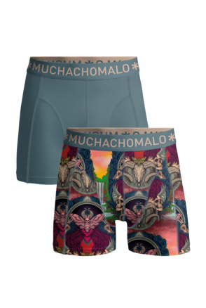 Heren 2-Pack Boxershort Print/Effen Print/Blue