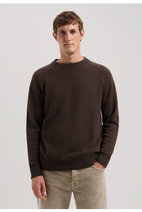 Dstrezzed Heren Trui Crewneck DS Stefan Zwart