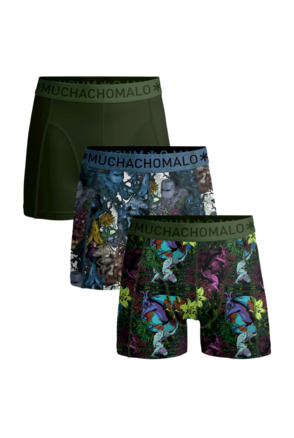 Heren 3-pack Boxershorts Earthelements Print/Print/Green