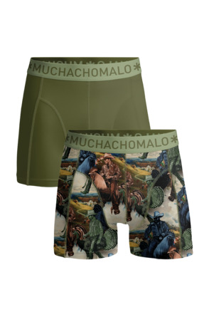 Heren 2-Pack Boxershort Print/Effen Print/Green