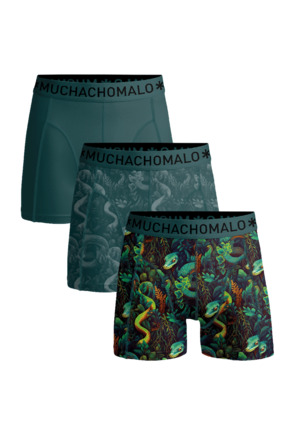 Boys 3-Pack Boxer Shorts Print/Print/Solid