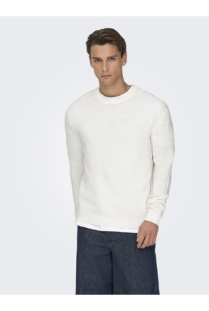 Regular Fit Crew Neck Lange Mouwen (L/S) Heren