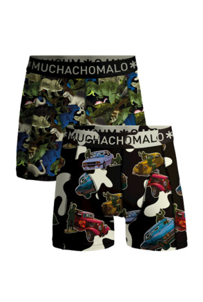 Mannen 2-Pack Boxershorts Figuren Print/Print