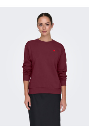 JDYPARIS L/S  EMB SWEAT JRS