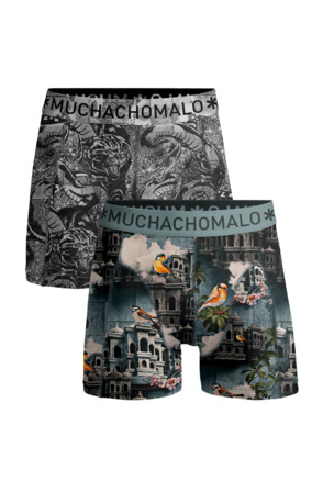 Heren 2-Pack Boxershorts Istanbul Print/Print