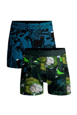 Men 2-Pack Boxer Shorts Theone