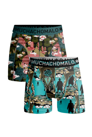 Jongens 2-pack shorts Een ander bijt Print/Print
