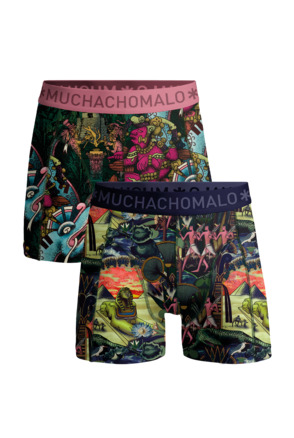 Jongens 2-Pack Boxershorts Oude Beschavingen Print/Print