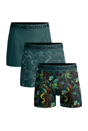 Men 3-Pack Boxer Shorts Print/Print/Solid