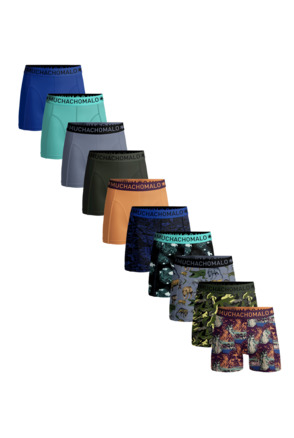 Heren 10-Pack Boxershorts Print/Effen