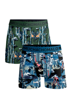 Heren 2-pack shorts Watervallen Print/Print