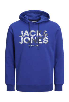 Regular Fit Hoodie (L/S)