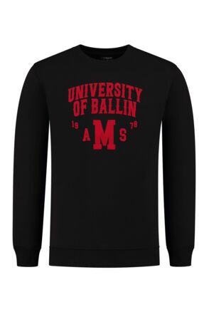 University Print Sweater