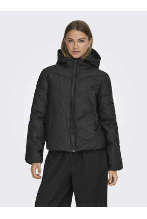 Hood Long Sleeves (L/S)