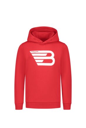 Junior Original Icon Logo Hoodie