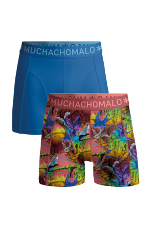 Jongens 2-Pack Boxershorts Print/Effen Print/Blue