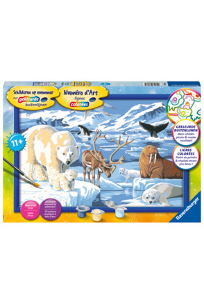Ravensburger Schilderen op nummer Lama - Hobbypakket