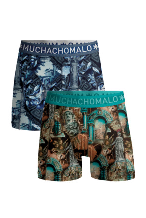 Heren 2-Pack Boxershorts Athene Print/Print