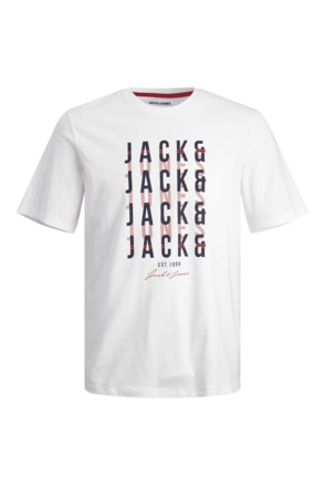 JWHDELVIN TEE SS CREW NECK