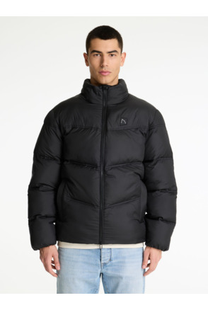 Chasin Heren Jas Nova Burst