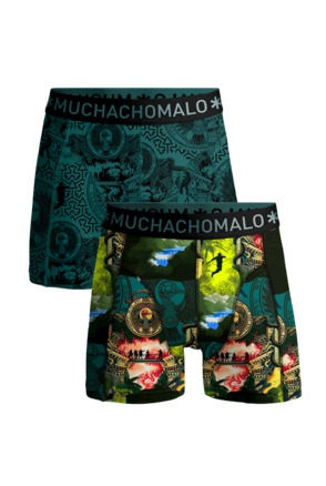 Jongens 2-Pack Boxershorts Indiana Print/Print