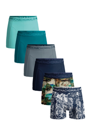 Heren 6-Pack Boxershort Print/Effen Print/Blue