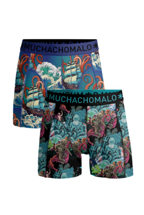 Jongens 2-Pack Boxershorts Waterelements Print/Print