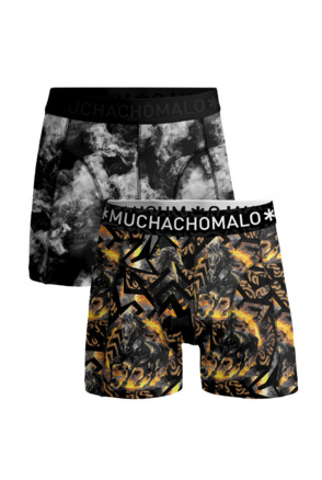 Heren 2-Pack Boxershorts Fireelements Print/Print