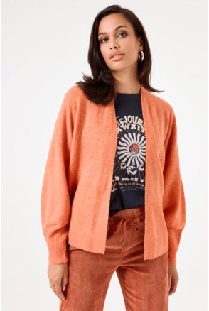 Damesvest