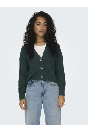Regular Fit V-Neck Long Sleeves (L/S) Geribbeld vest