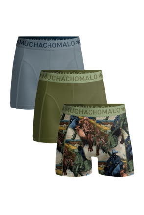 Jongens 3-Pack Boxershort Print/Effen Print/Green/Blue