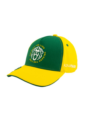 Brazil Cap 2025 - Max Verstappen