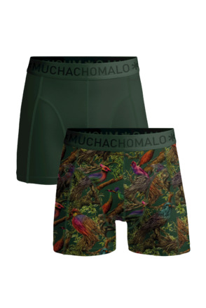 Mannen 2-Pack korte print/effen Print/Green