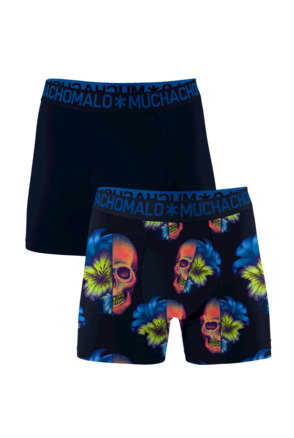 Heren 2-Pack Bloemen Boxershort print/effen Print/Blue