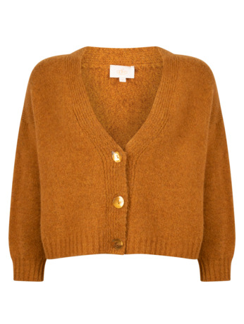 Aaiko Dames Wol Viscose Acrylic Cardigan Oliegeel