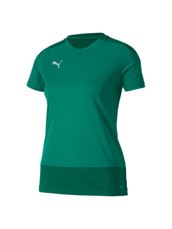 teamGOAL 23 Training Jersey W  Pepper Gr