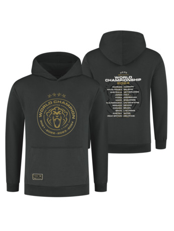 World Champion 2024 Hoodie - Charcoal - Max Verstappen