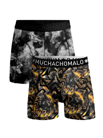 Heren 2-Pack Boxershorts Fireelements Print/Print