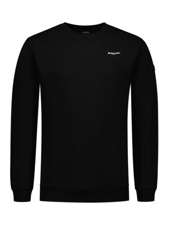 Originele Logo Sweater 100% Katoen Mannen