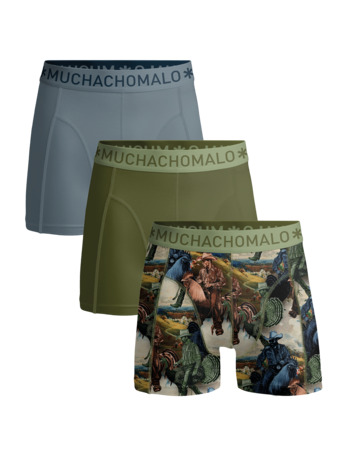 Jongens 3-Pack Boxershorts Print/Effen Print/Green/Blue