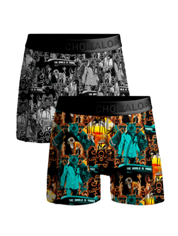 Jongens 2-Pack Boxershorts Montana Print/Print