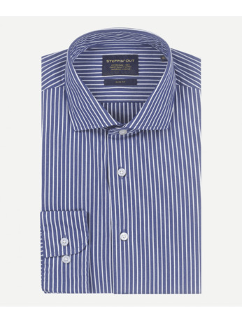 Stripe Shirt Cutaway