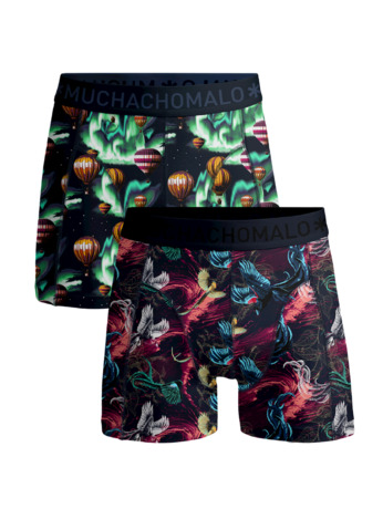 Heren 2-Pack Boxers Airelements Print/Print