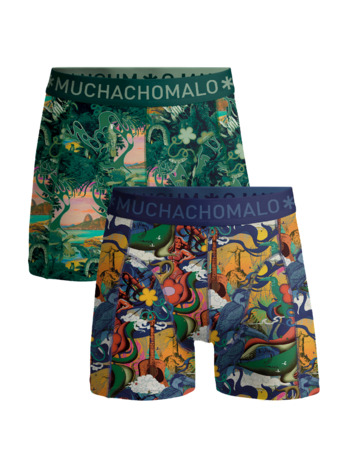 Heren 2-Pack Boxershorts Rio Print/Print