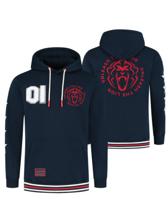 USA Hoodie 2025 - Max Verstappen