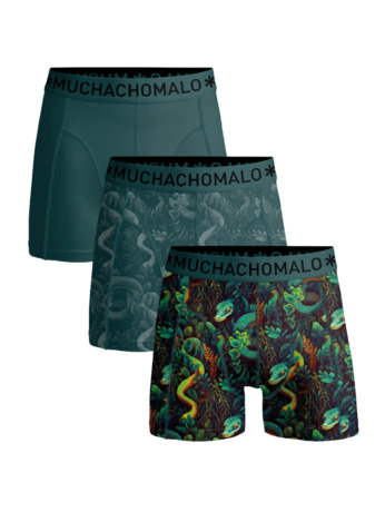 Men 3-Pack Boxer Shorts Print/Print/Solid