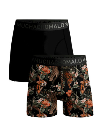 Men 2-pack Boxer Shorts print/solid